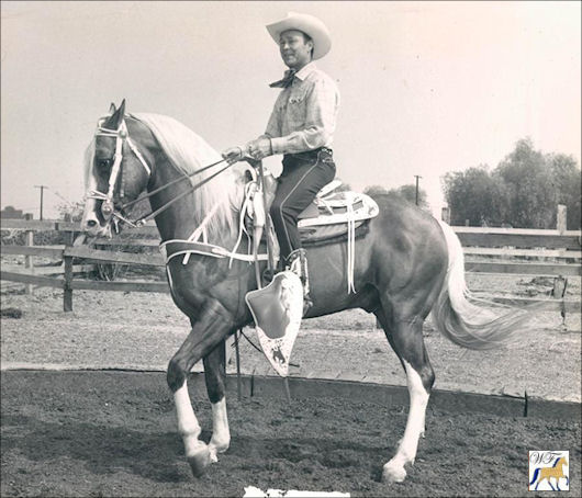 Allen's Gold Zephyr