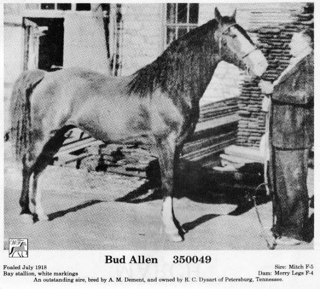 Bud Allen