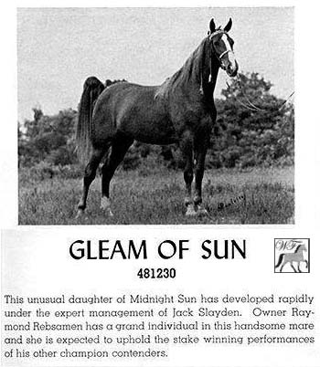 Gleam of Sun