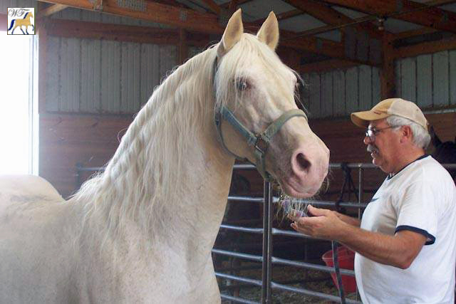 Hillbilly's Bud Lite and Brad Woodruff by Gwen Bowles Moberly