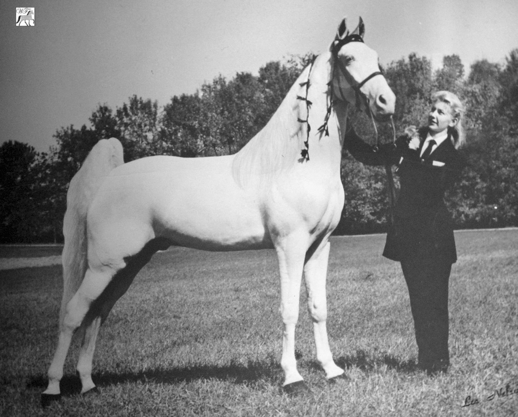 Merry Boy's Traveler and Betty Sain