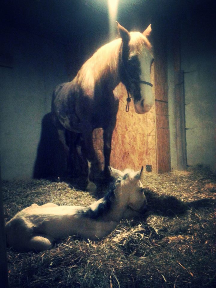 Barboree and newborn Vivien Leigh